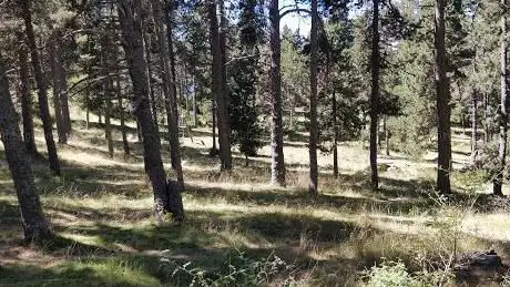 Photo de Pla d'Escobairó