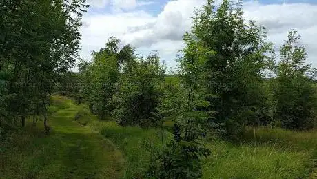 Photo de Woodland View