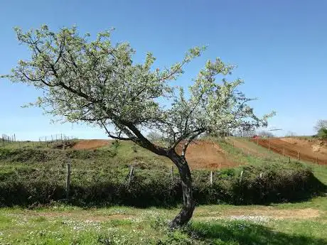 Photo de Crossodromo Sant'Anna
