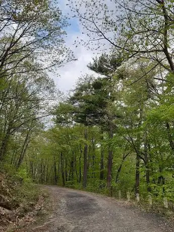 Leominster Trails
