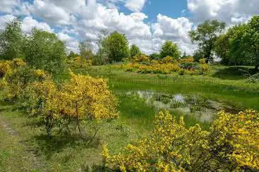 Natuurreservaat Gevaerts-Noord (Vallei van de Zuidleie)