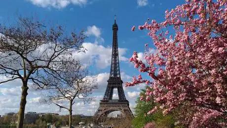 Photo de ÐкÑкурÑии в Париже WonderParis
