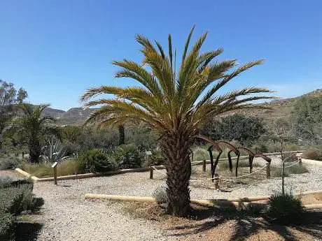 Photo de Botanical Garden