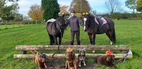 Photo de Smallwood Livery Centre