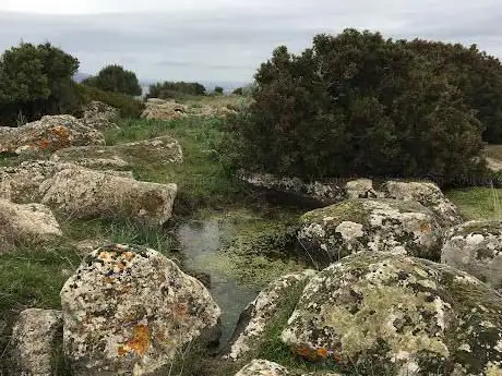 Photo de Parco Naturale Regionale di Monte Arci