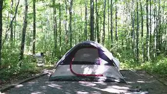 Photo de Finger Lakes National Forest