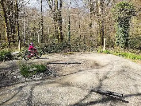 Lanhydrock Cycle Trails