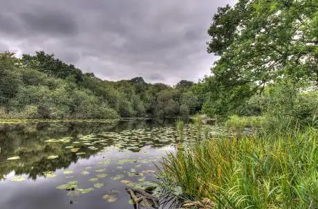 Photo de Wake Valley Pond