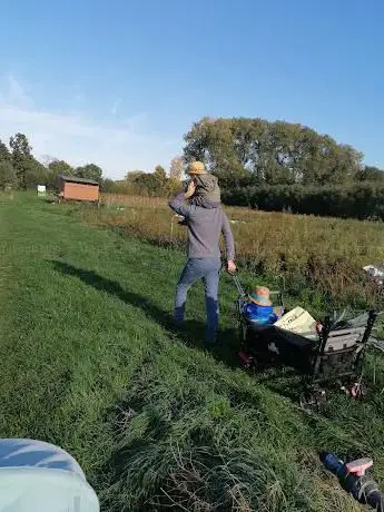 Het groentegenot