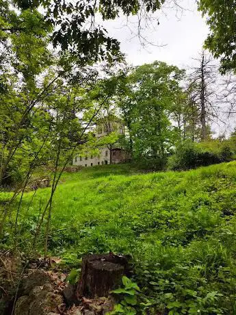 Foresta della Deiva