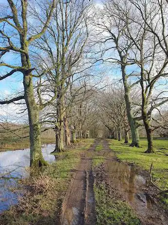 Glan Faenol
