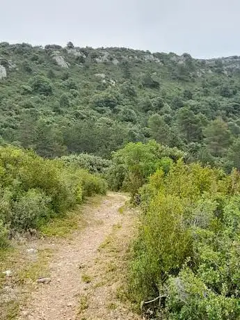 Photo de Sentier Nature et Patrimoine en Alaric