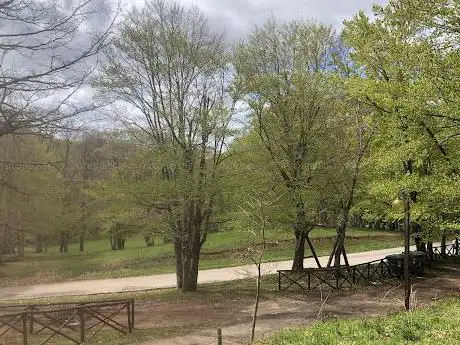 Photo de Bosco di Ruoti
