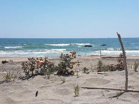 Photo de Focene Beach