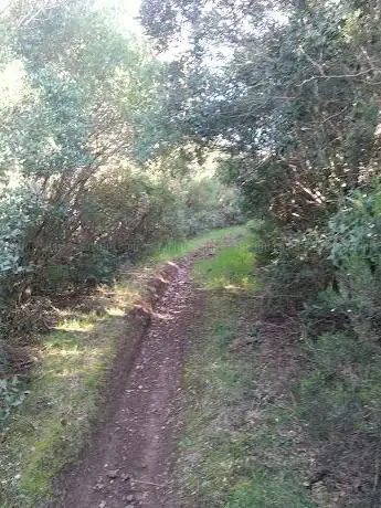 Photo de Foresta di Acquafrida