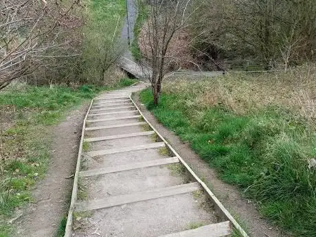 Silkstone Ravine
