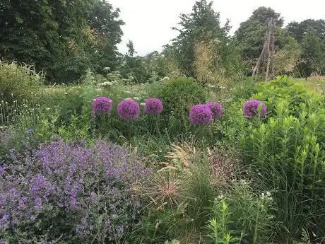 Photo de The Garden