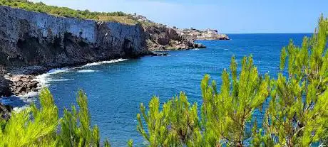 Photo de Parc Natural del MontgrÃ
