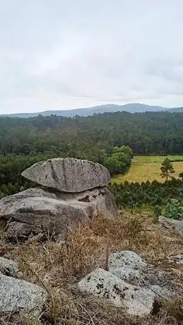 Photo de PETRÓGLIFOS DE PEDRA XESTOSA