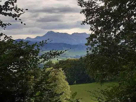 Walderlebnis Menzlen