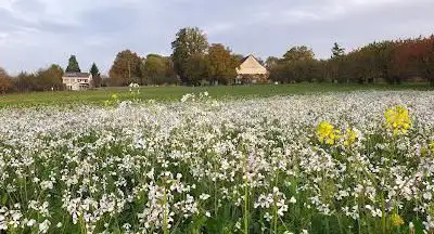 Photo de Paradieshof