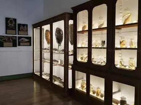 Photo de Museo de Ciencias Naturales