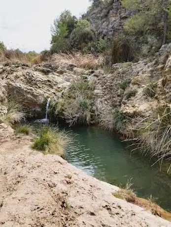 Photo de Sifón de burete