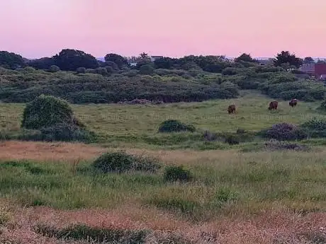 Photo de Sandy Point Nature Reserve