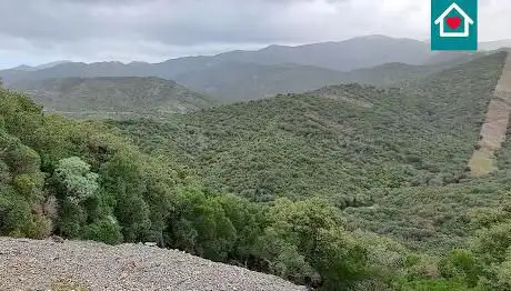 Foresta de Su Corovau