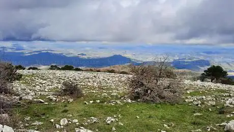 Photo de Riserva naturale orientata Monte Genuardo e Santa Maria del Bosco