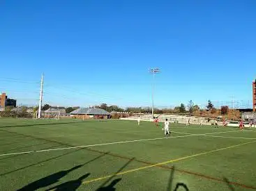 Photo de Limerick Field