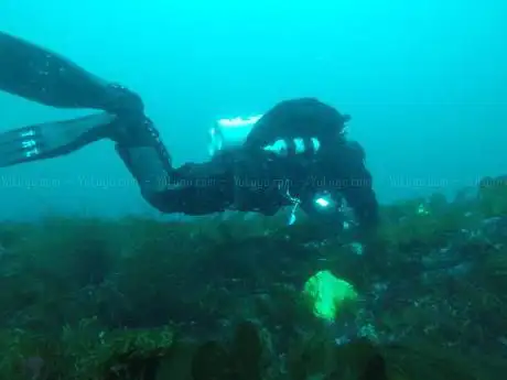 Grey Shark Diving School