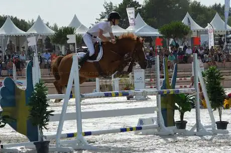 Photo de Poney Club de la Tour