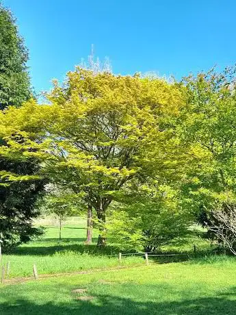 Photo de Arboretum