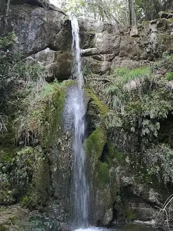 Photo de Tonfo del Diavolo