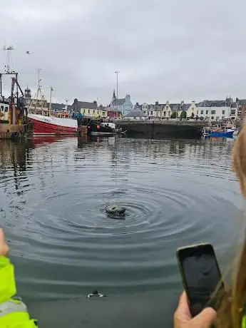 Photo de Stornoway Seafari Ltd