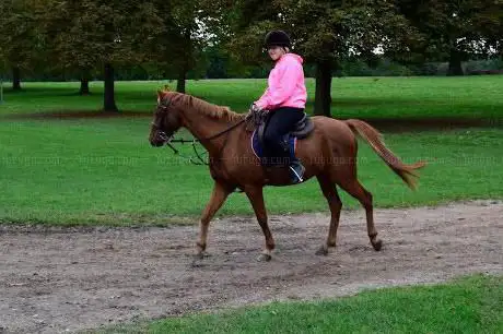 Photo de Ascot Carriages