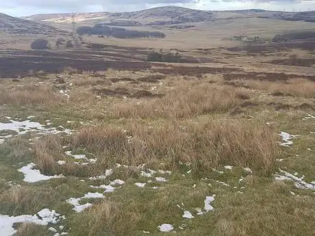 Photo de Lammermuir