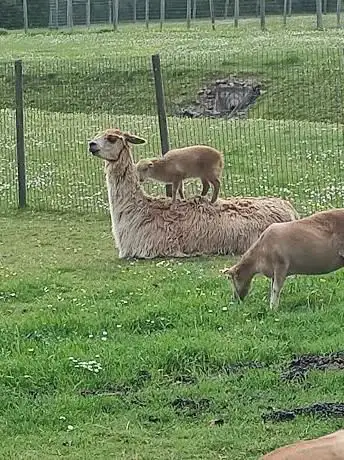 Photo de Parc De La Mairie