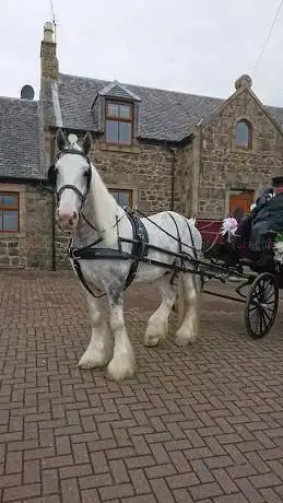 Photo de Studlea Equestrian Centre