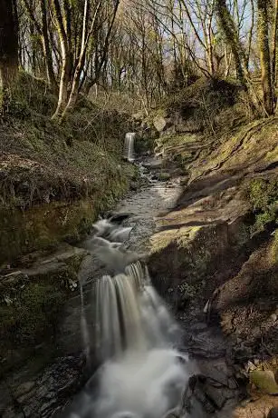 Photo de Fairy Glen