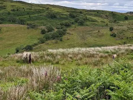 Bwlch Corog