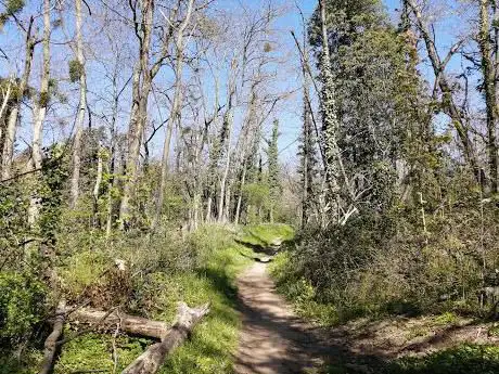 Photo de Le sentier du ruisseau de rochecardon