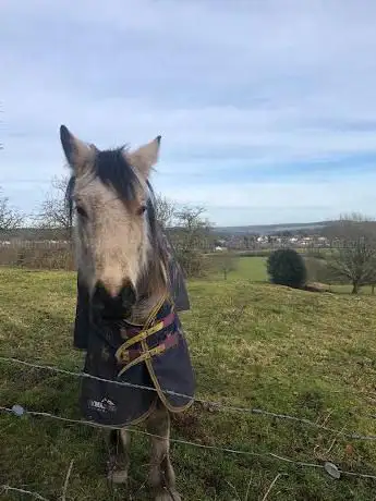 Cannock Wood Farm