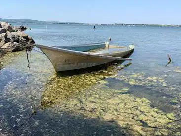 Photo de Chemin de l'île Planasse