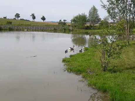 Photo de Etang de Saint Julien de Piganiol