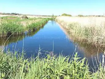 Photo de Stodmarsh National Nature Reserve