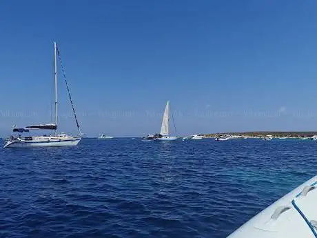 Isola di Mal di Ventre - Escursioni - Noleggio gommoni - SeaNext & Summer Team