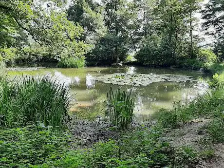 Photo de Birchweiher