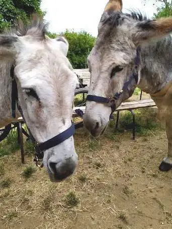 Photo de Les Randonnées des Signoles